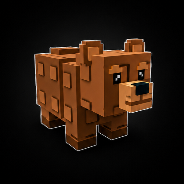 ×25 Bear