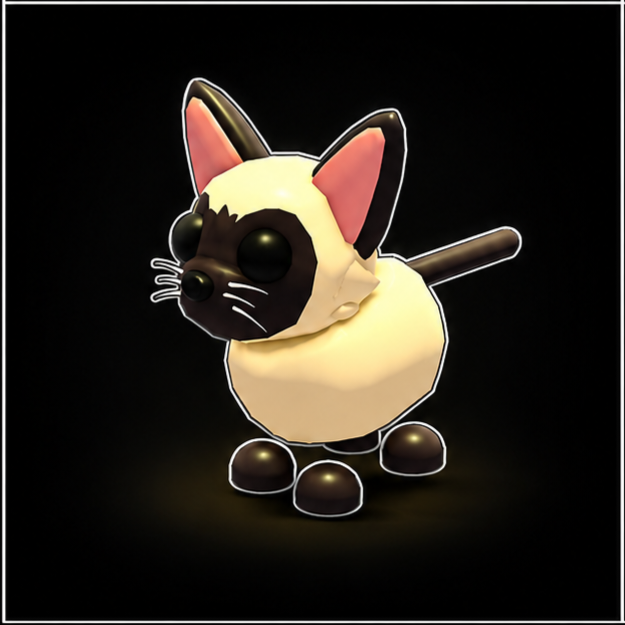 FR Siamese Cat